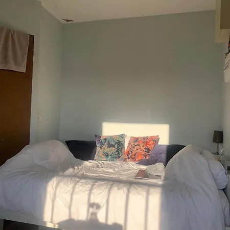 Cocon Tres Lumineux En Plein Coeur De Apartment
